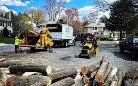 Best Sod Installation  in Trumansburg, NY