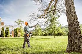 Best Tree Health Inspection  in Trumansburg, NY